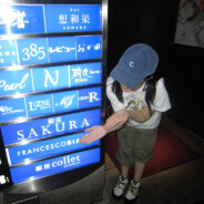 伊卡洛斯 　银灰