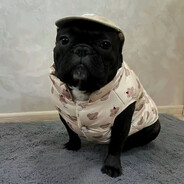 pro100_Vitaliy_67_gangsta