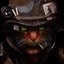 Call of Cat