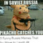 THE RUSSIAN BEAR 🐻🐻👆