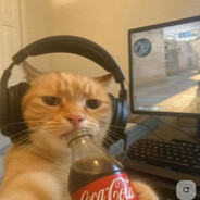 𝓧𝓻𝓮𝓭𝓭𝟔