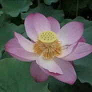 厄加特说的都对