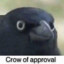 CrowOfApproval