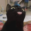 學