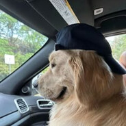 Аватар whisyy1