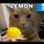 Lemon4ik
