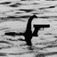 The Glock Ness Monster