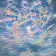 阳光灿烂的日子(Chris骑