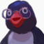 u guys like pingu?