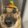 bob999