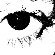 ??? - steam id 76561199838596253