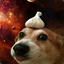 Overlord Space Garlic Dog
