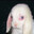 Cleb