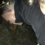 Orbit87 - steam id 76561198173531299