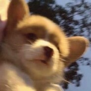 yyy每天想我一次