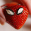 SpiderStam