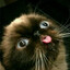 abeme