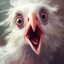Le Gallinacé