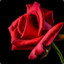 Shanse