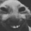 Smegma Sniffer