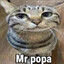 Mr.popa