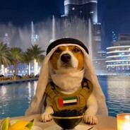 ✞︎ツDarTu☯︎︎ツ✞