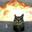 number 1 zazu the cat fan's Avatar