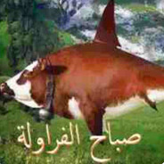الصبر هو مفتاح ال