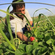 serGAY Prokaliev(сергій)