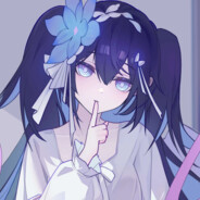 我永远喜欢希儿·芙乐艾 avatar