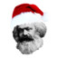 Jolly Karl Marx