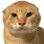 打我我就会哈气