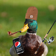 cool duck