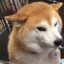 龔葦