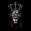 THE KING