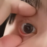 真实     准确     细致    及时