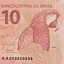 Arara da Nota de 10 Reais