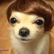 JohnnyG - steam id 76561197965764581
