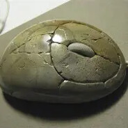 i got banned for skin hacks :(