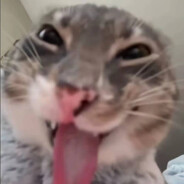 玩家头像