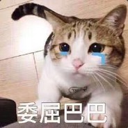 世界いて一番お姫様