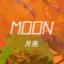 MooN / Trader/Buyer/Seller