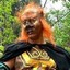 巡山小钻风