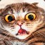 marcus_levisson