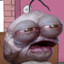 Floonk