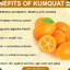 lil kumquat