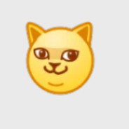 洛圣都五星好市民