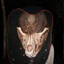 OssomUmbra