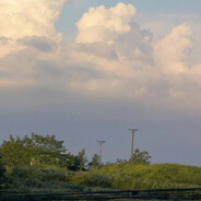 蚂蚁在甜甜圈里睡觉