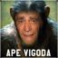 Ape Vigoda